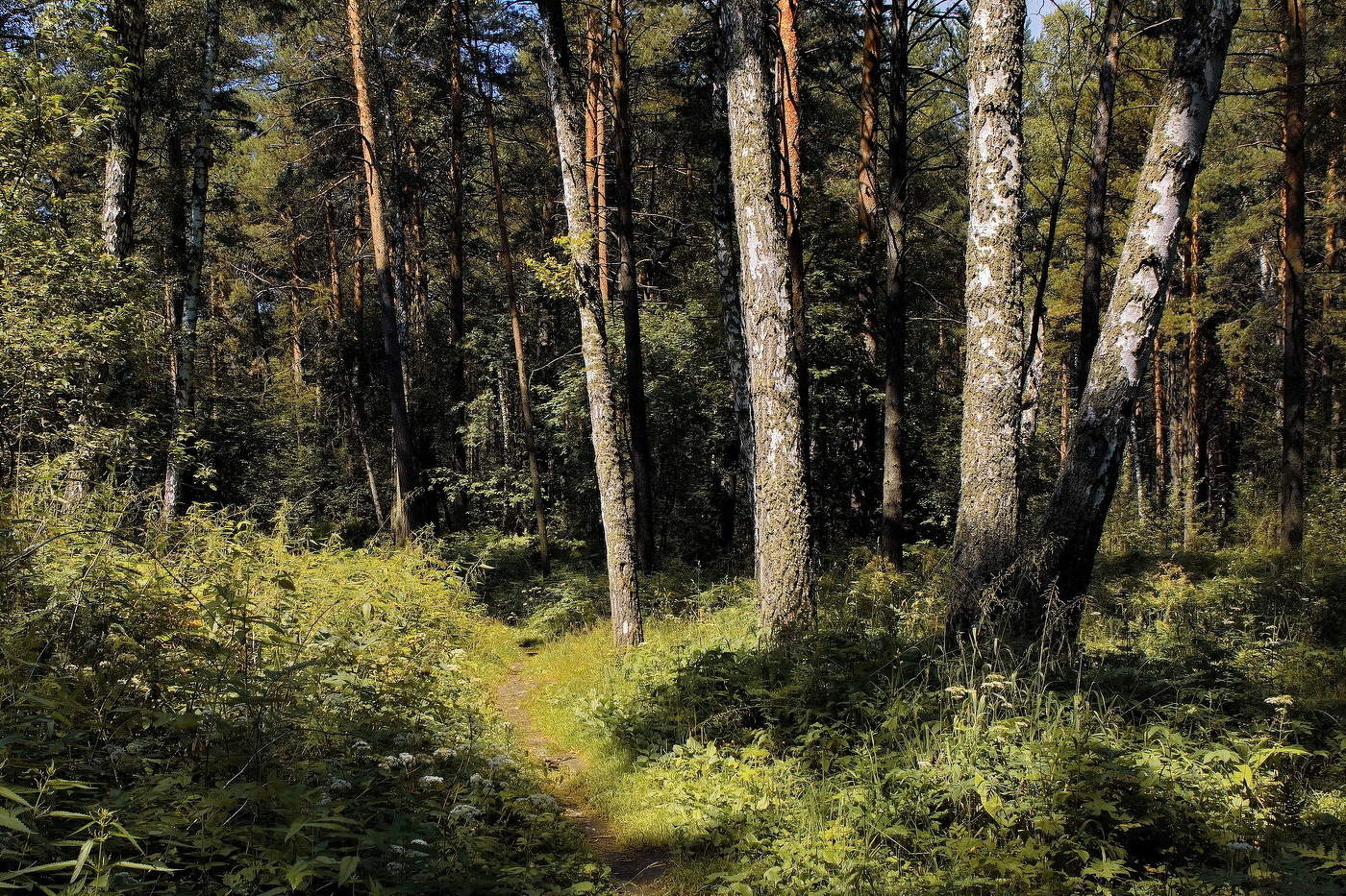 **Летним полднем.*