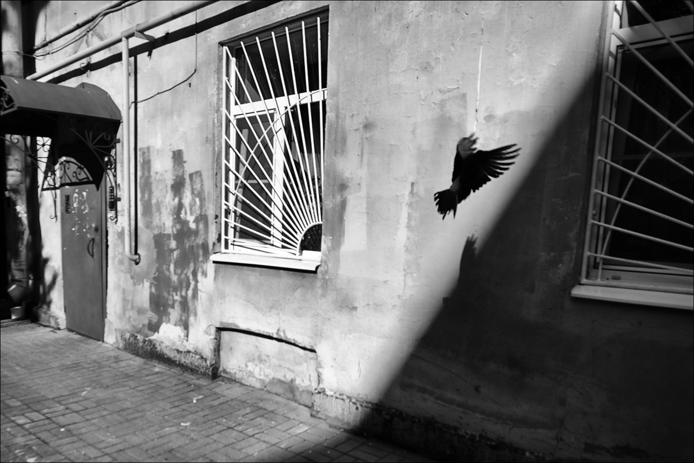 этюдъ с оконной решёткой