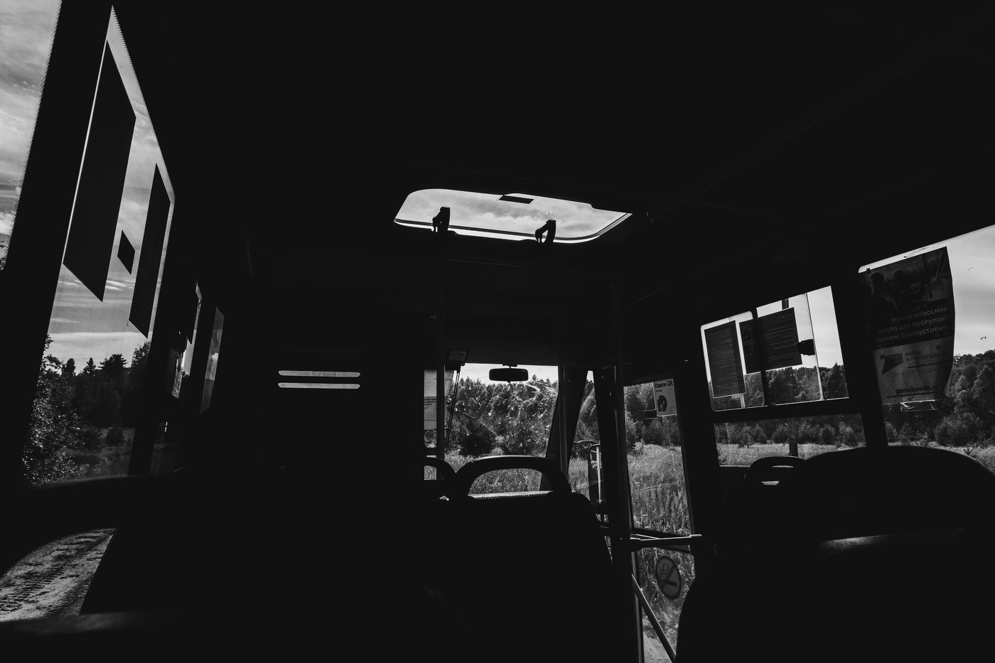 Жизнь вокруг