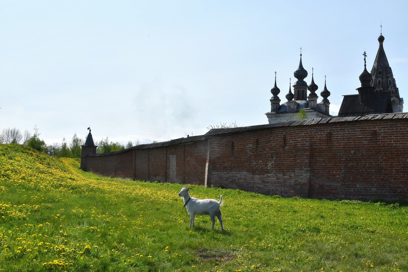 Юрьевская пастораль
