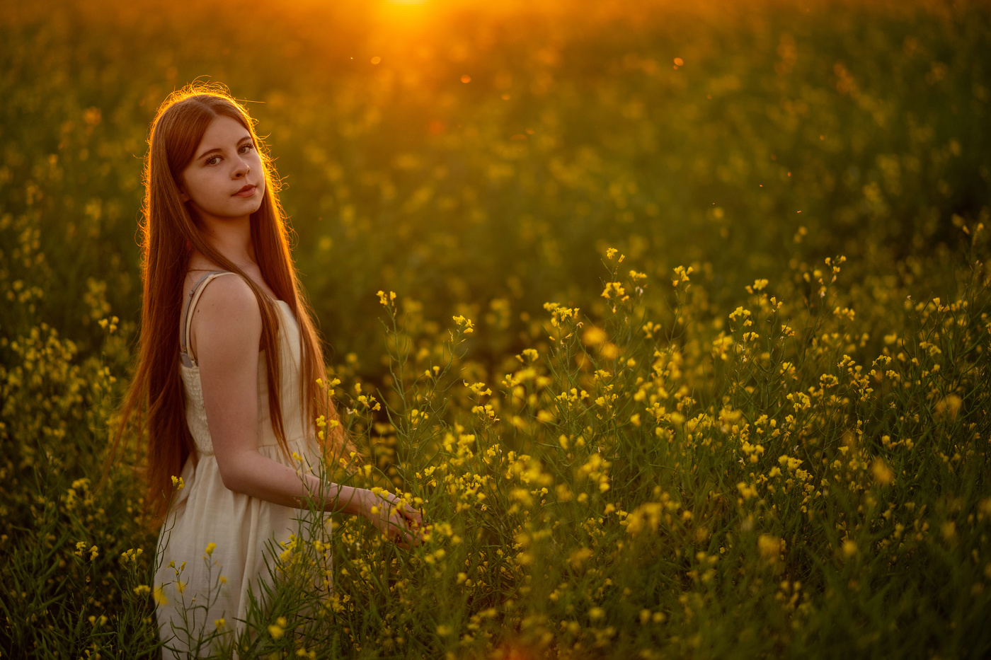 В поле рапса