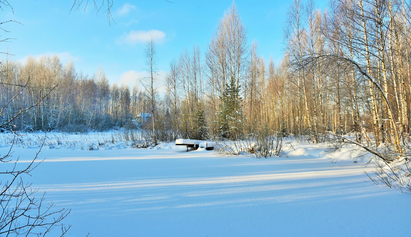 "Мороз и солнце - день чудесный ..."