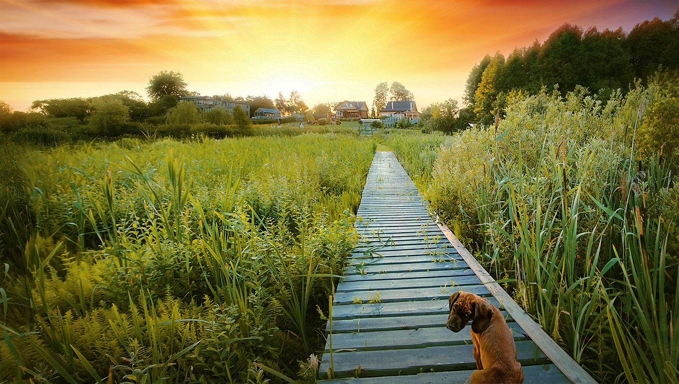 Ну, пойдём уже