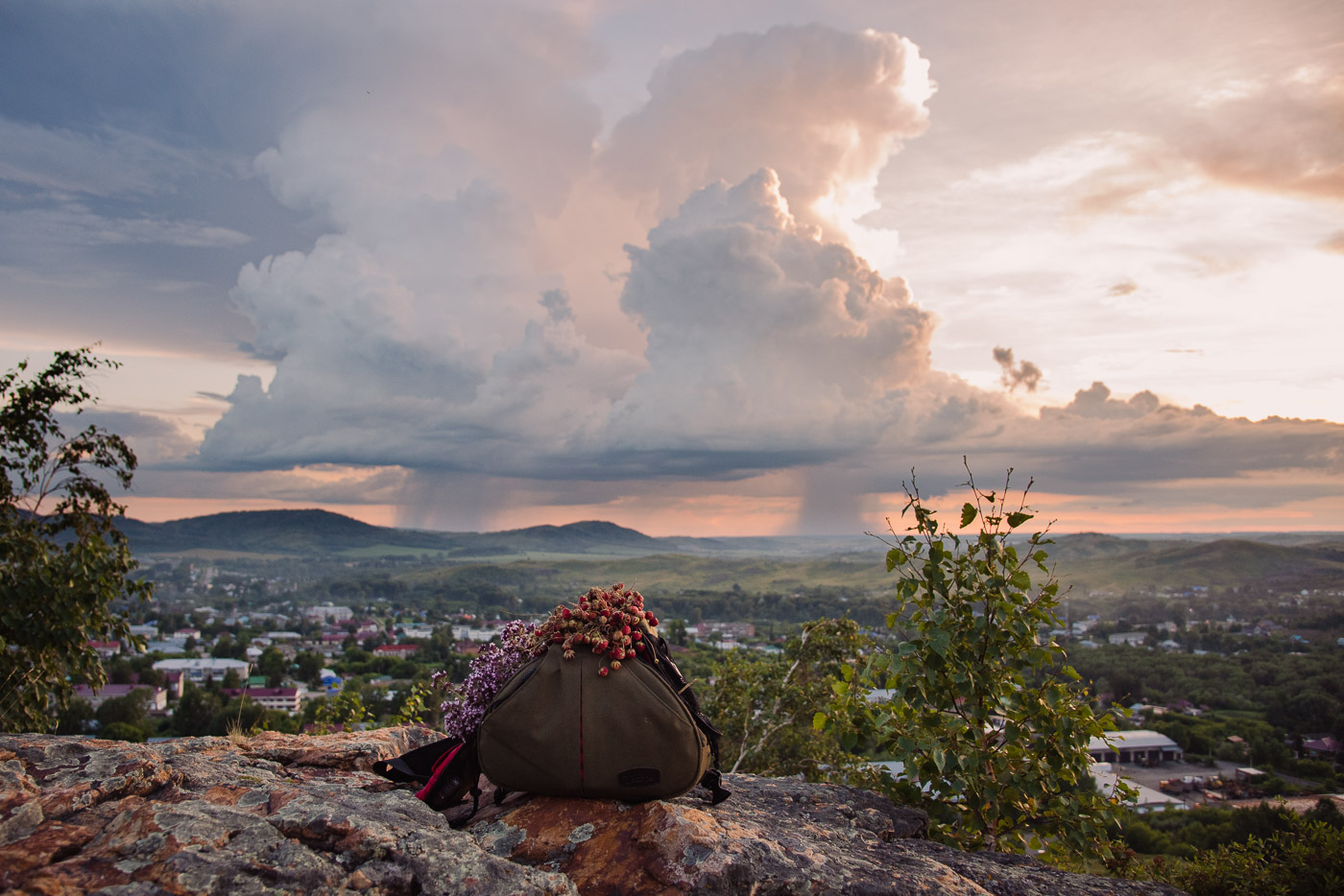 Прогулочный натюрморт