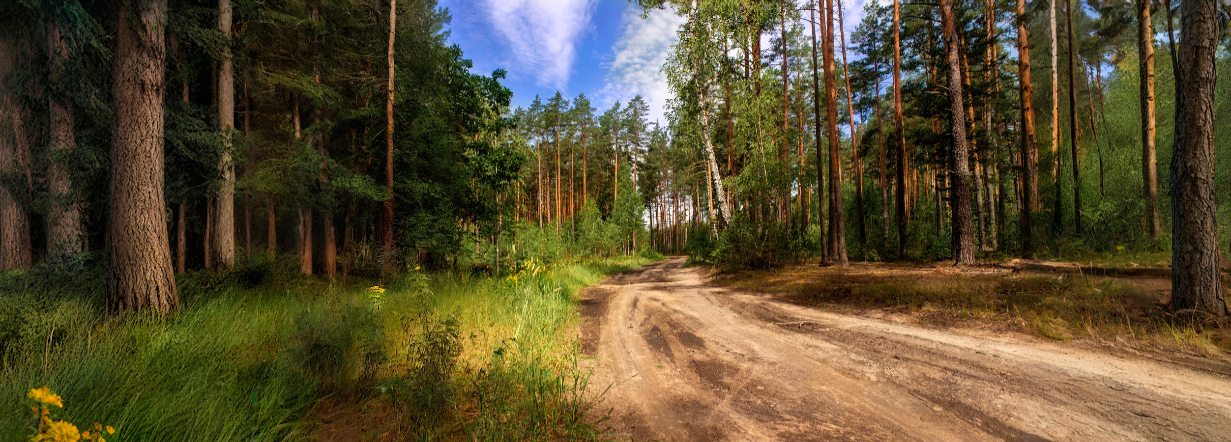 Дорожка в грибы