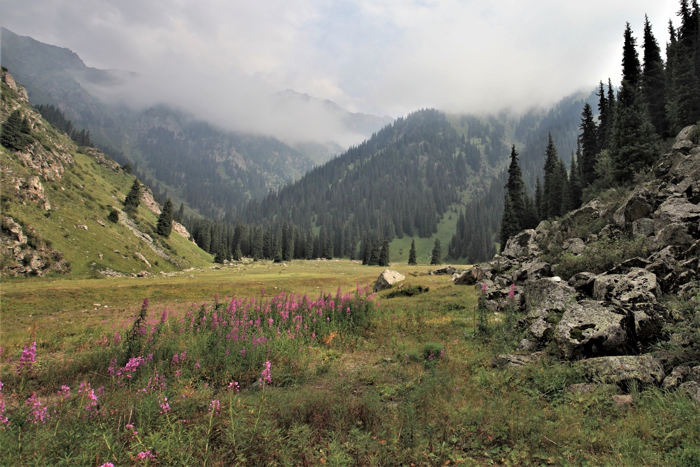 Лунная поляна