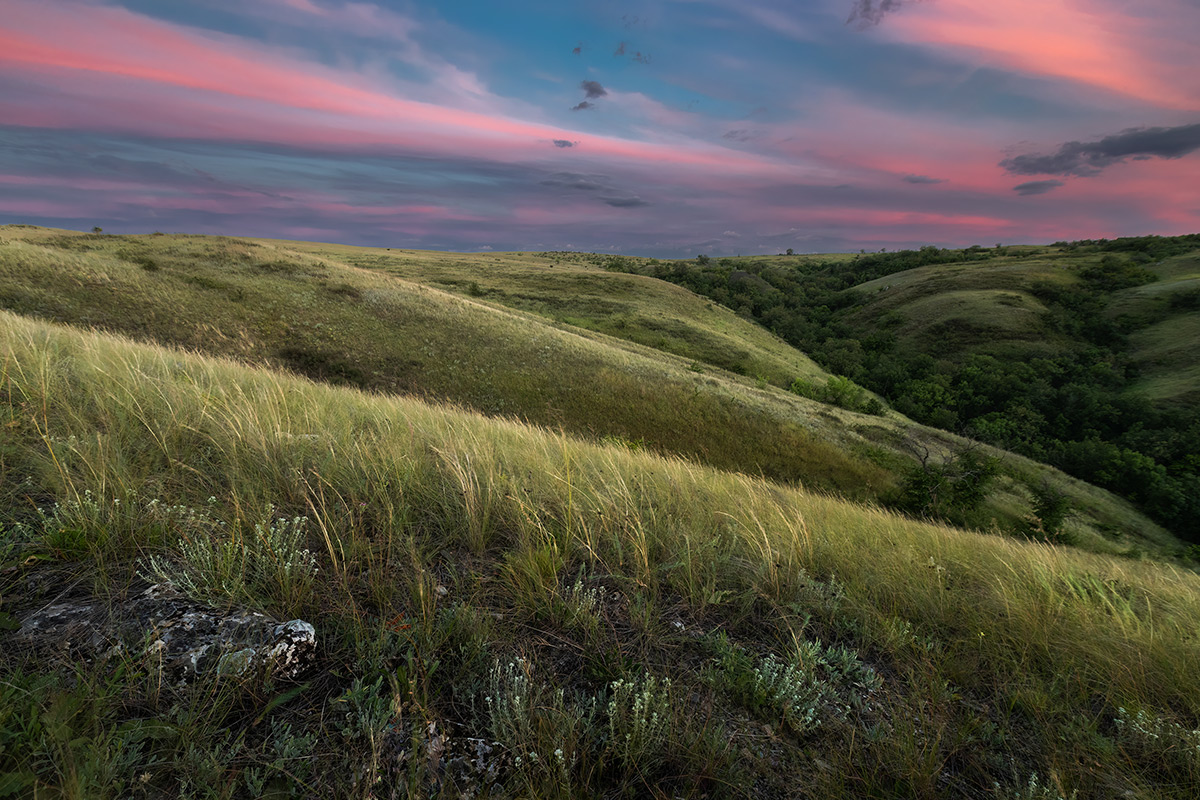 Степи глубокие морщины