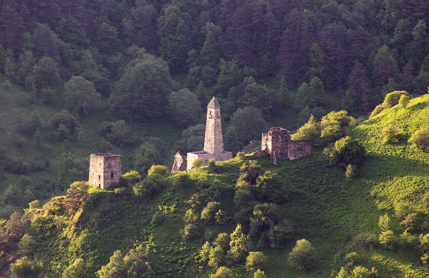 Память рода