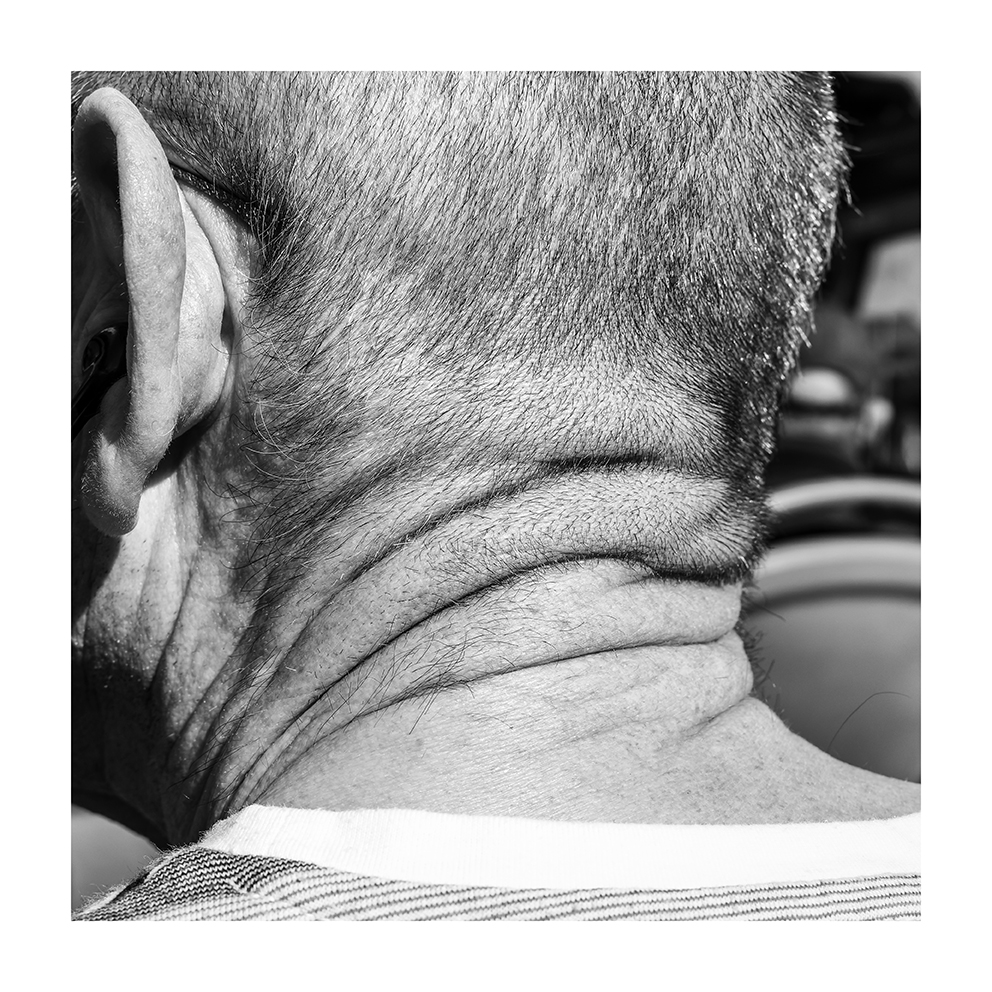 Размышления о кривых