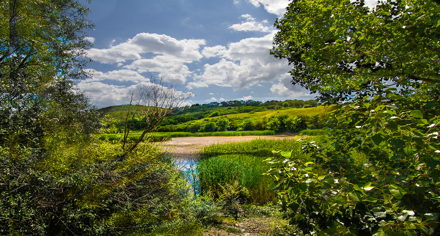 Затока в Лозовом