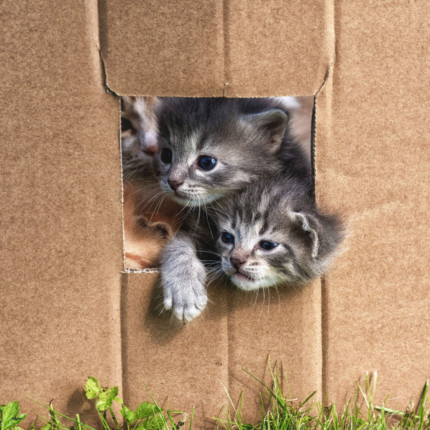 Жизнь вокруг