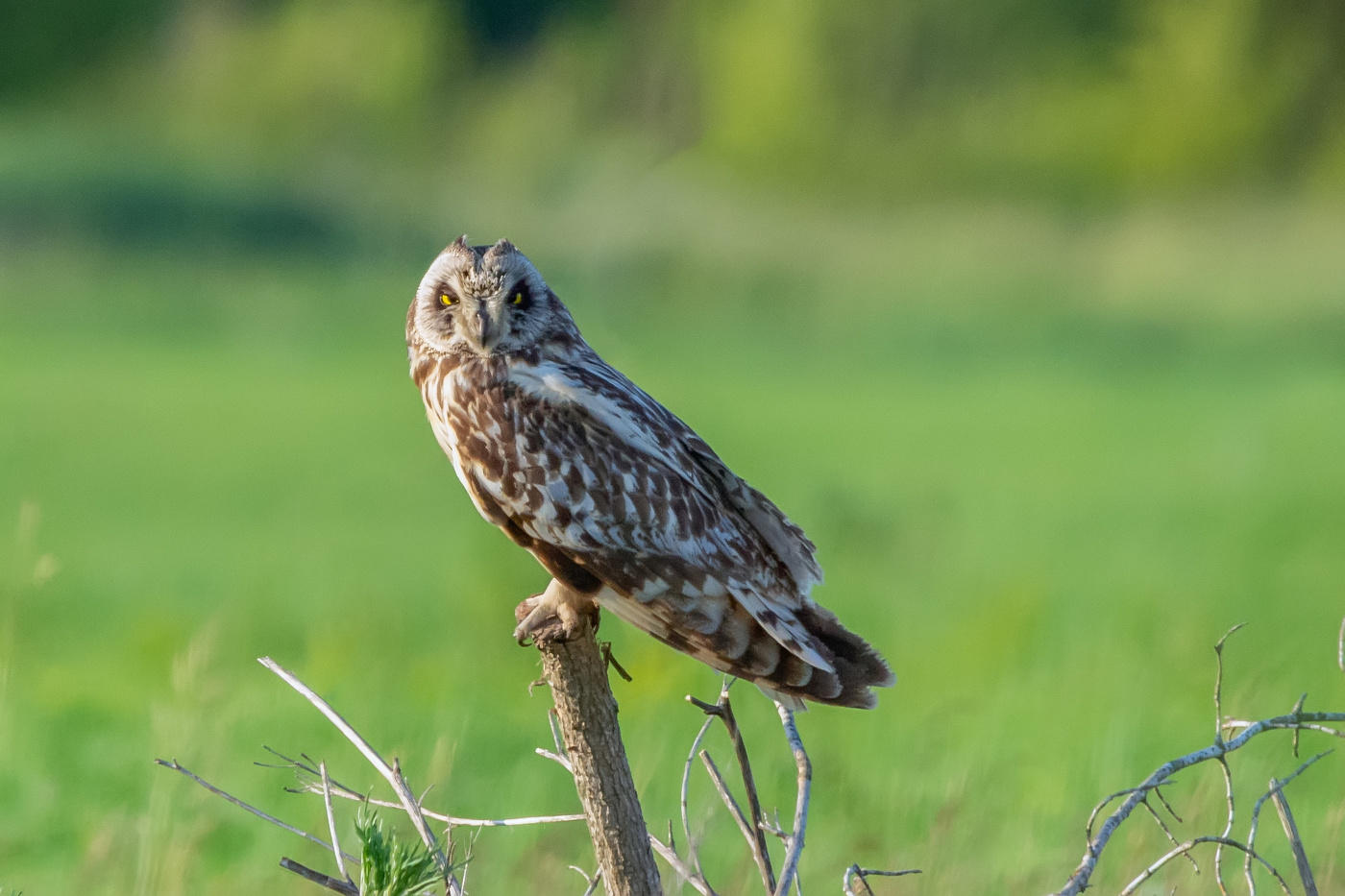 на любимом месте