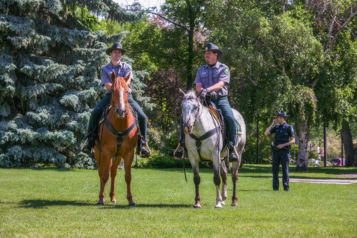 Два богатыря