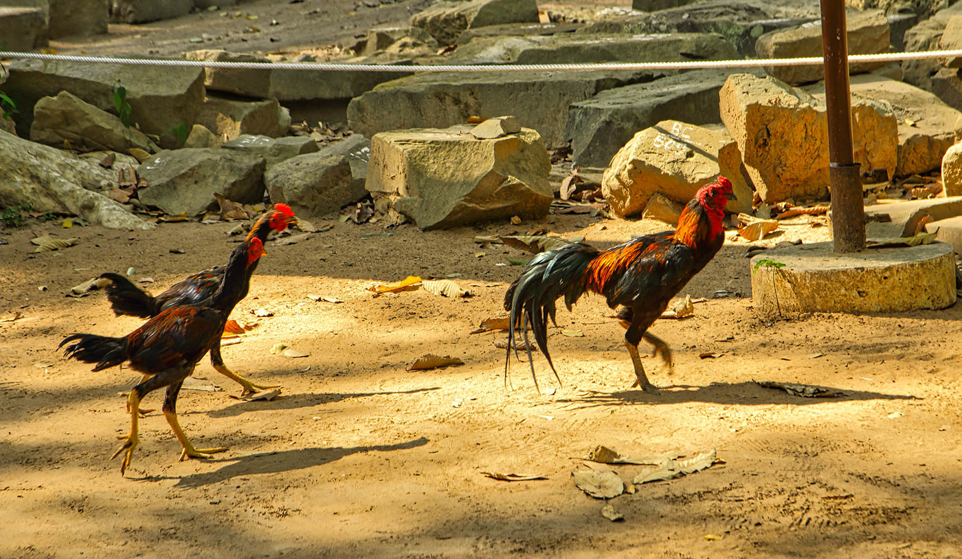 ... и сопровождающие его лица.