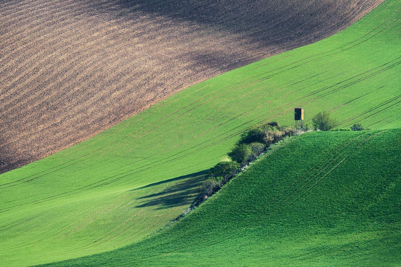 Моравские поля