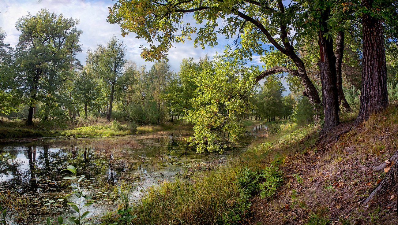 После дождя.