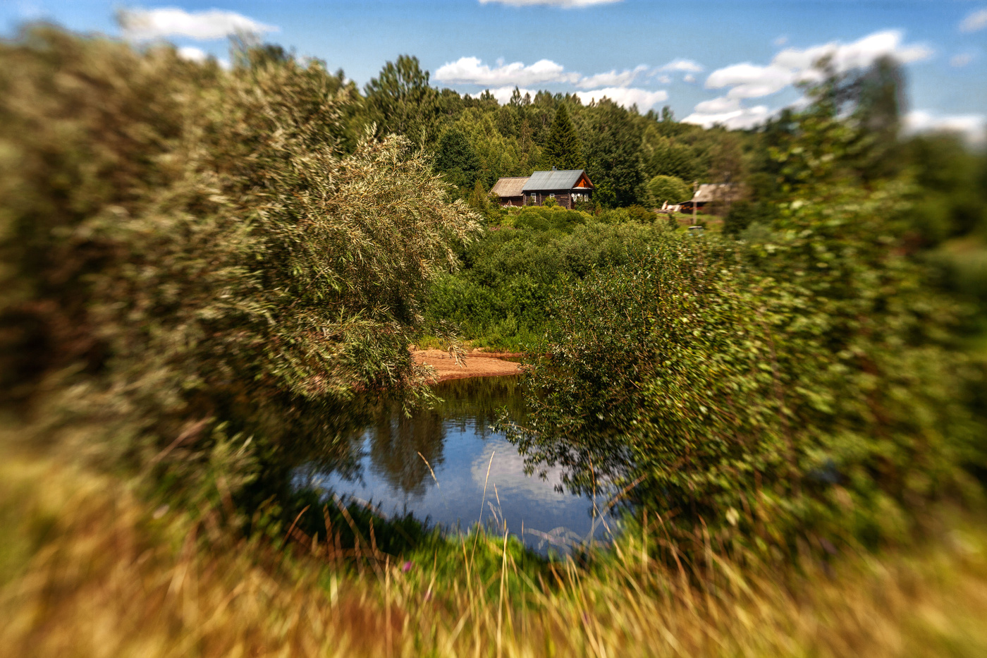 Жизнь вокруг