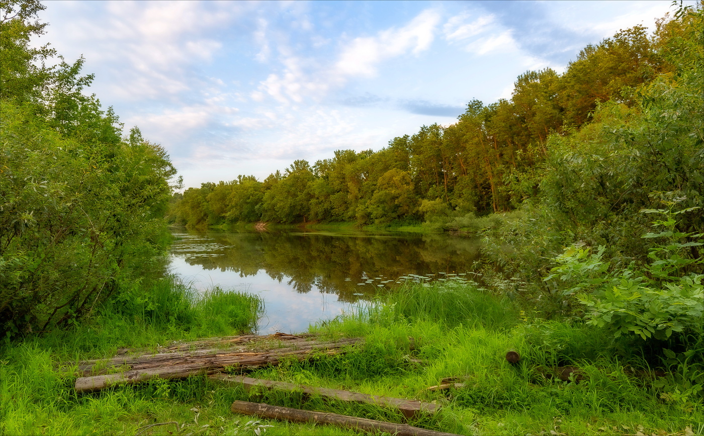 ЧИСТЫЕ ПРУДЫ