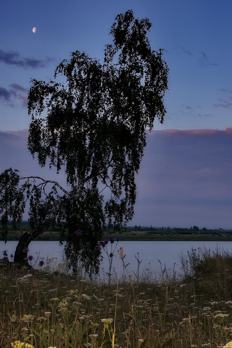 *Над обрывом.**