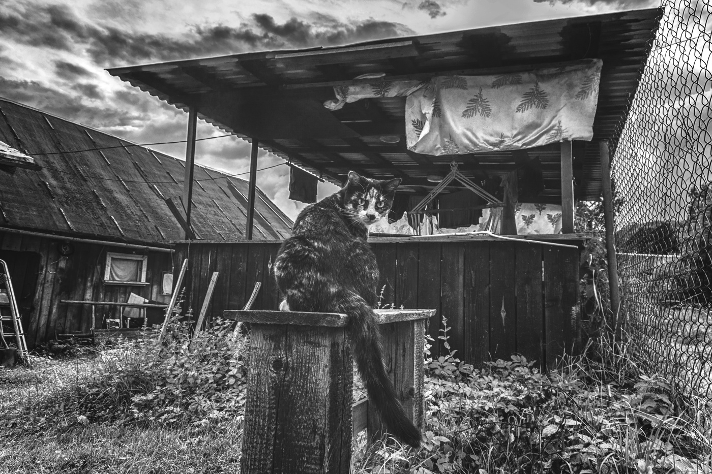 Жизнь вокруг