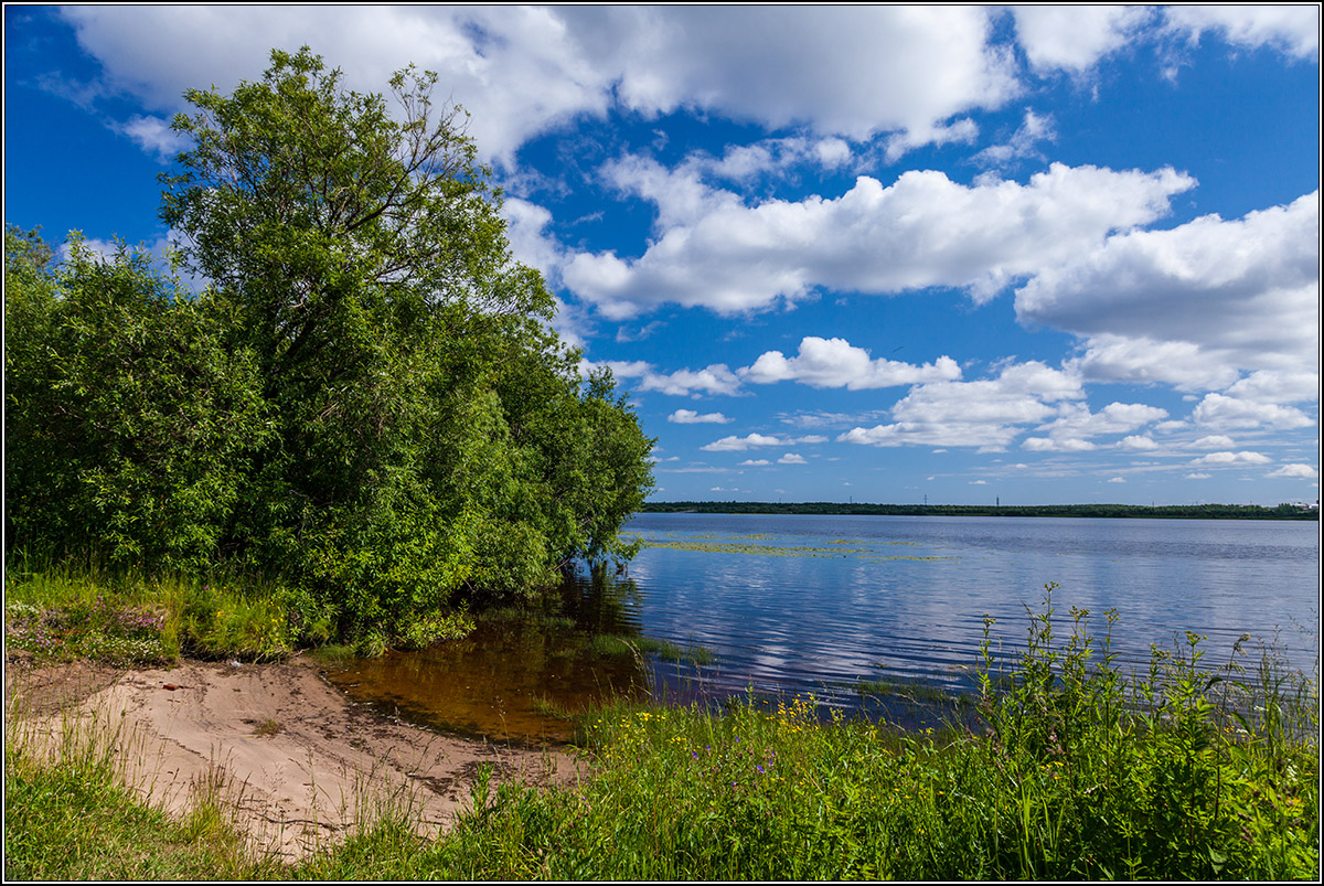 На летних берегах.