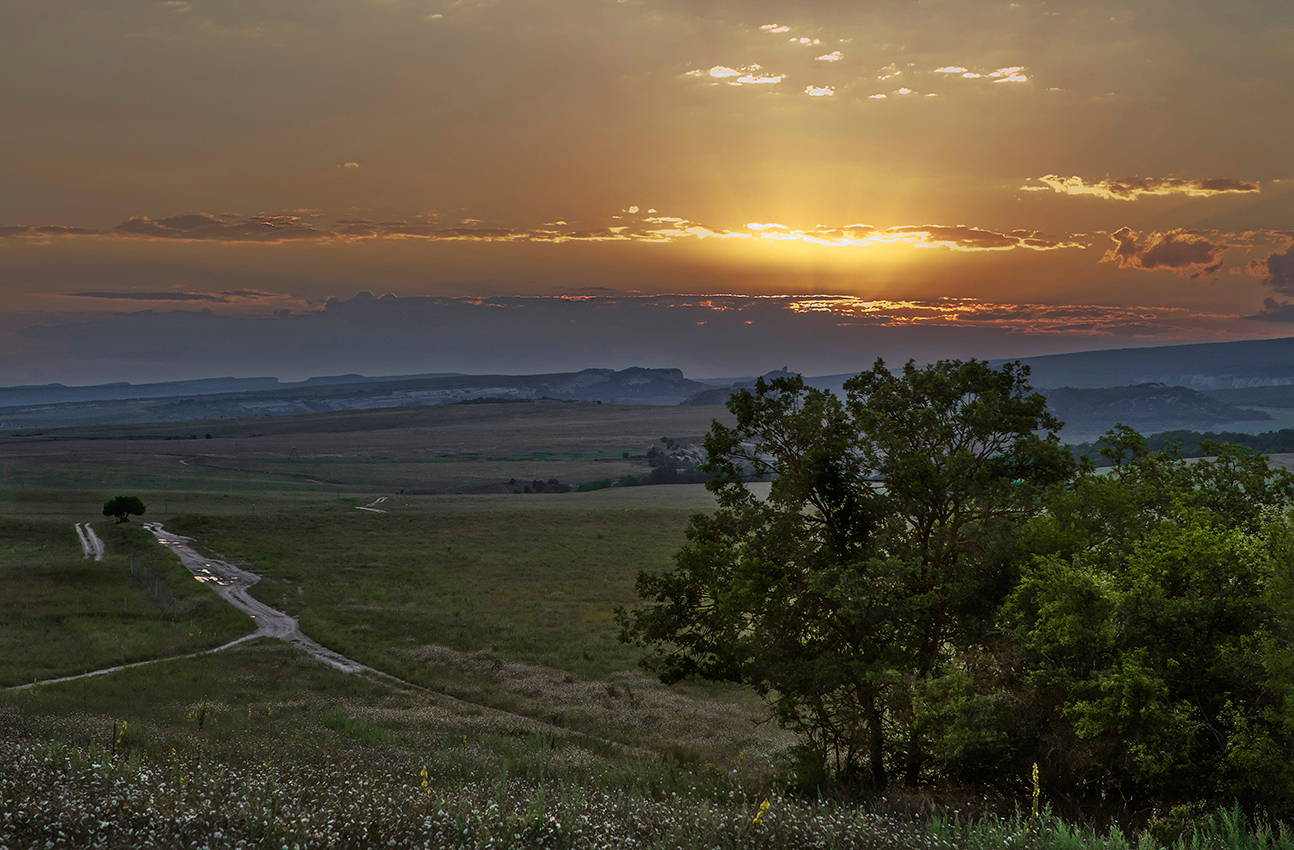 Утренние сумерки