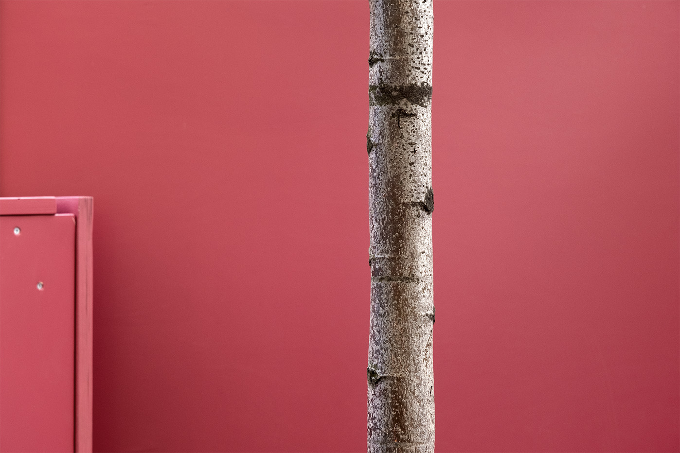 этюд с ящиком , окрашенным в малиновый