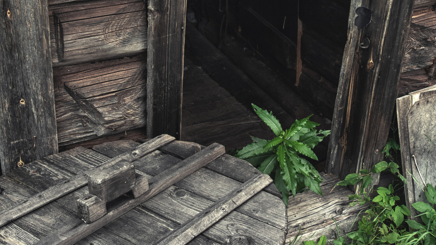 Жизнь вокруг