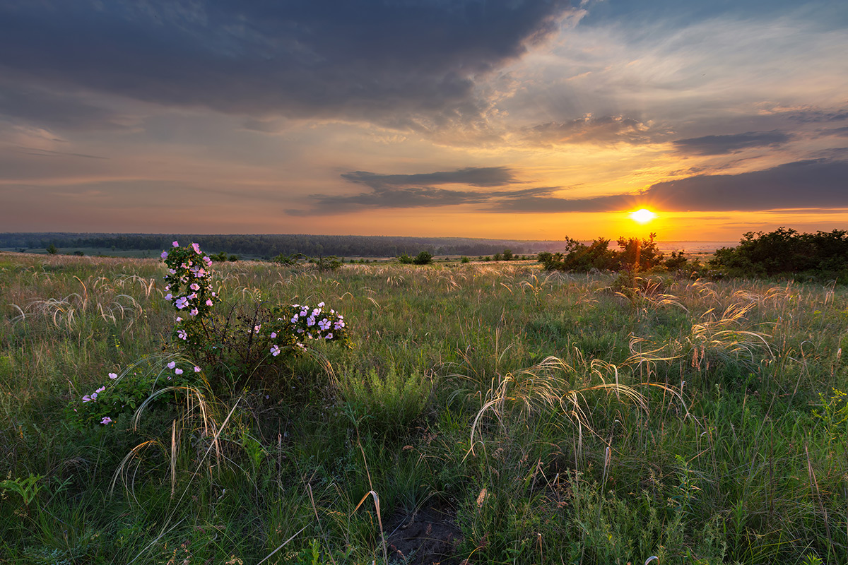 Вечер в мае