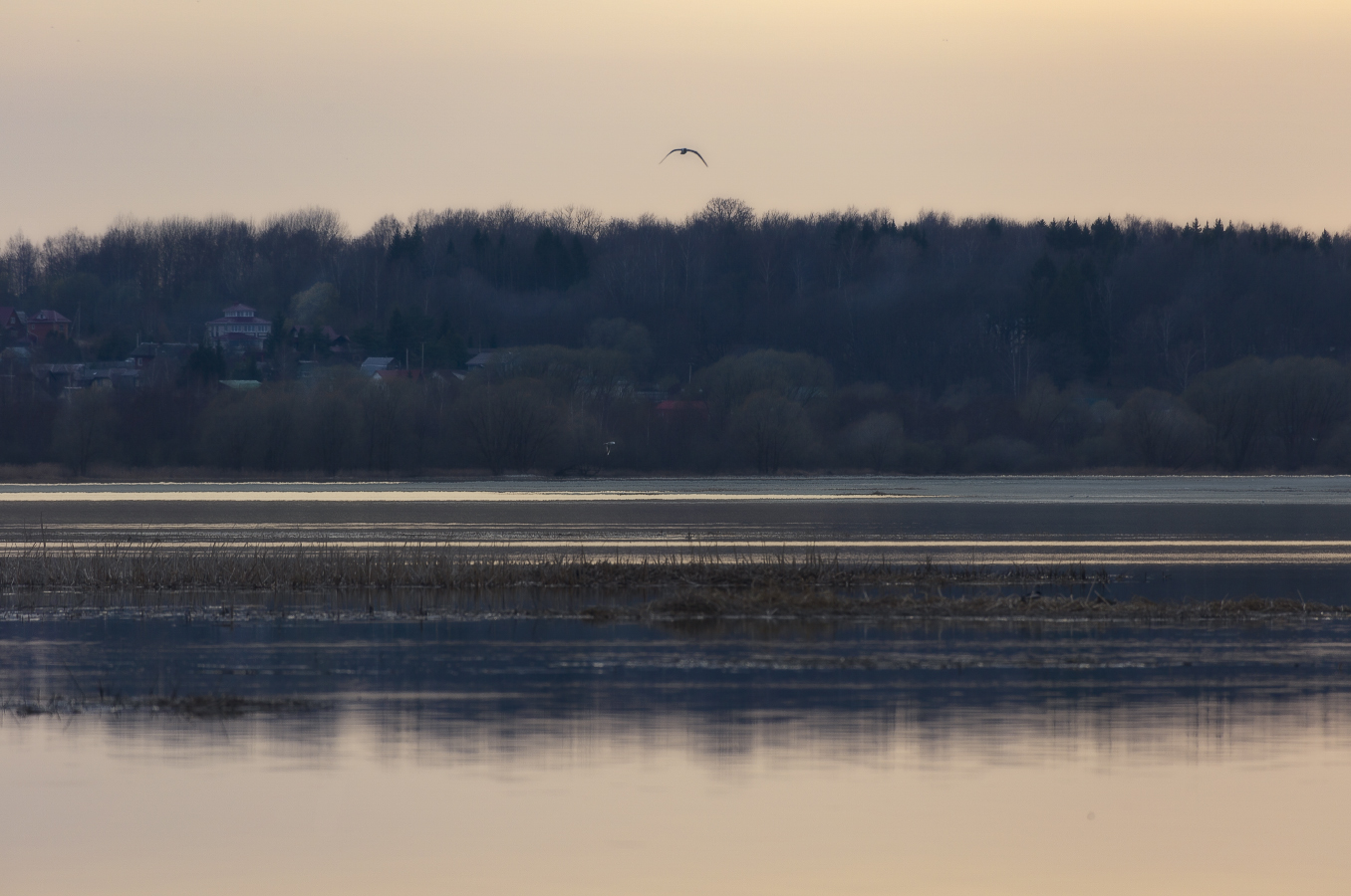 Весенний ноктюрн