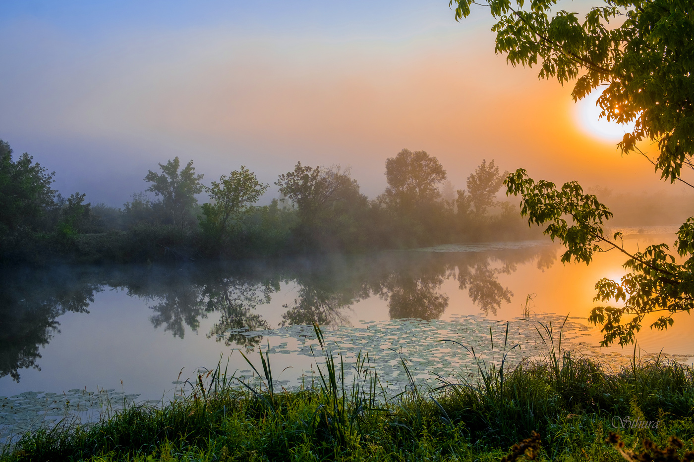 Тихое утро.