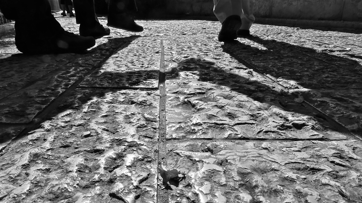 Цветок обронили