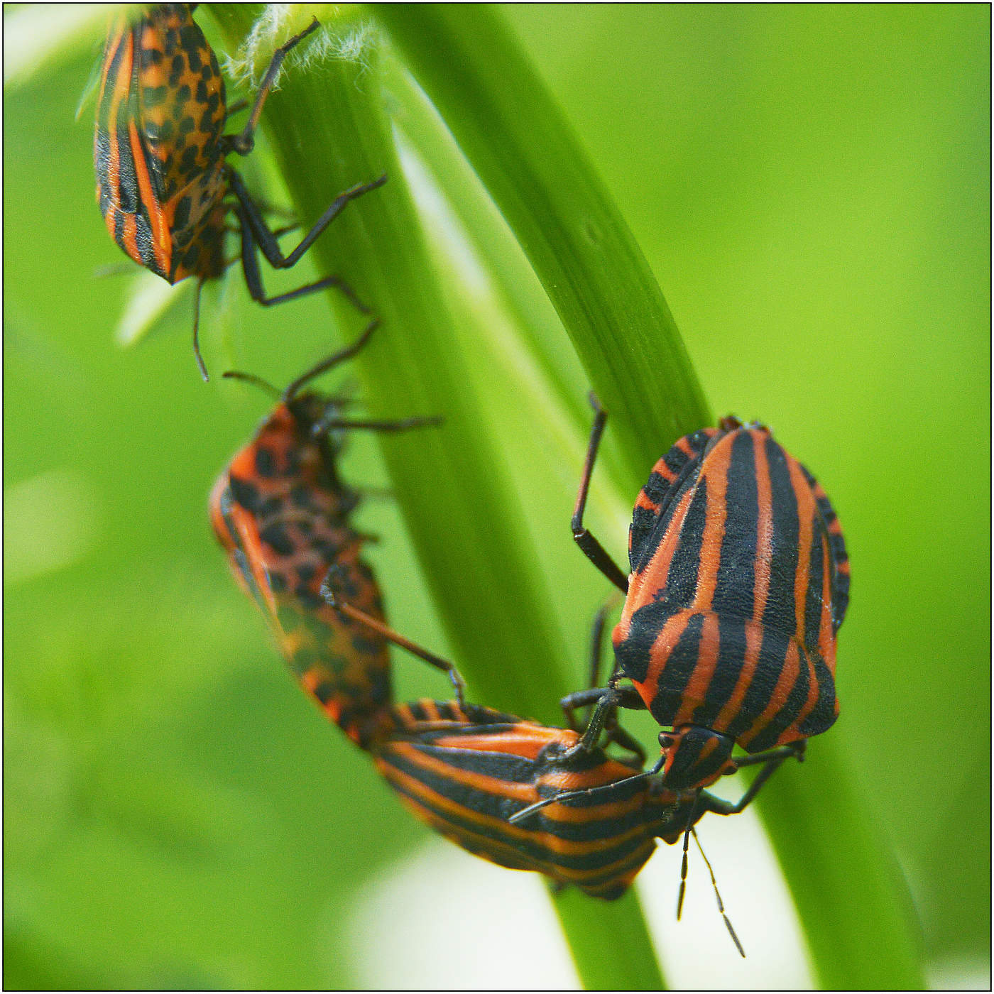 Беседы на вечные темы.