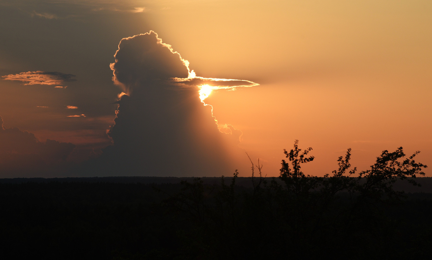 На исходе дня ...
