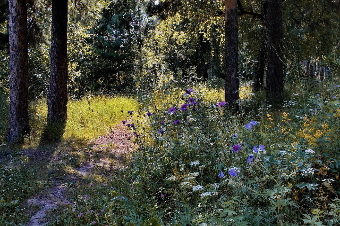 Июльским днём.