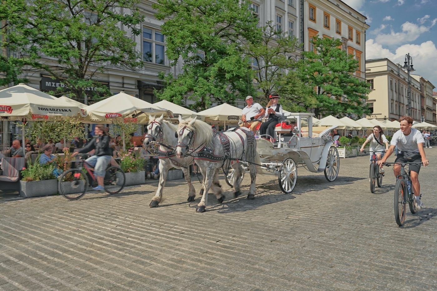 На перегонки