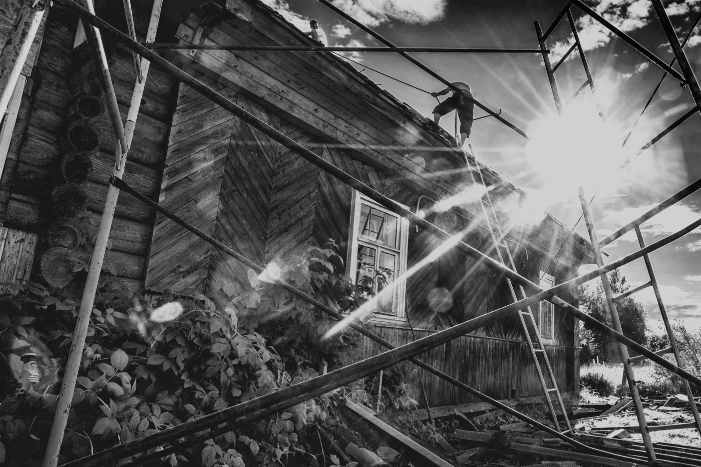 Жизнь вокруг