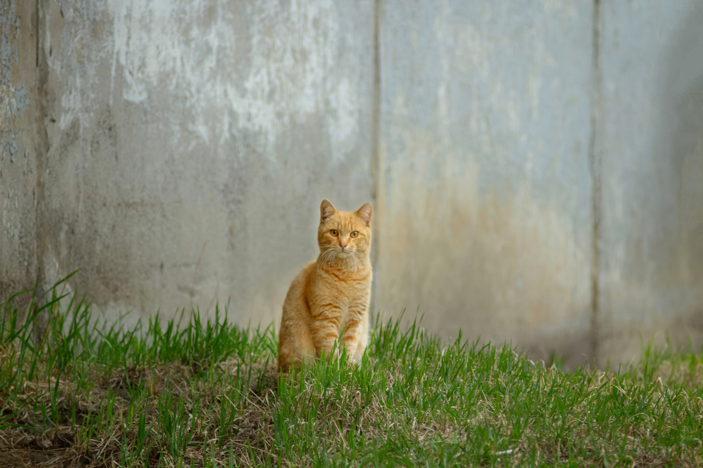 "Совсем один"