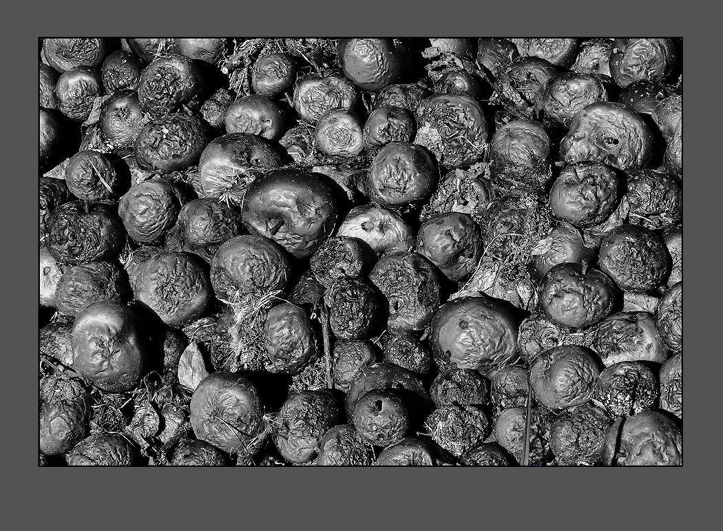 " Ба ! Знакомые все лица" (с)