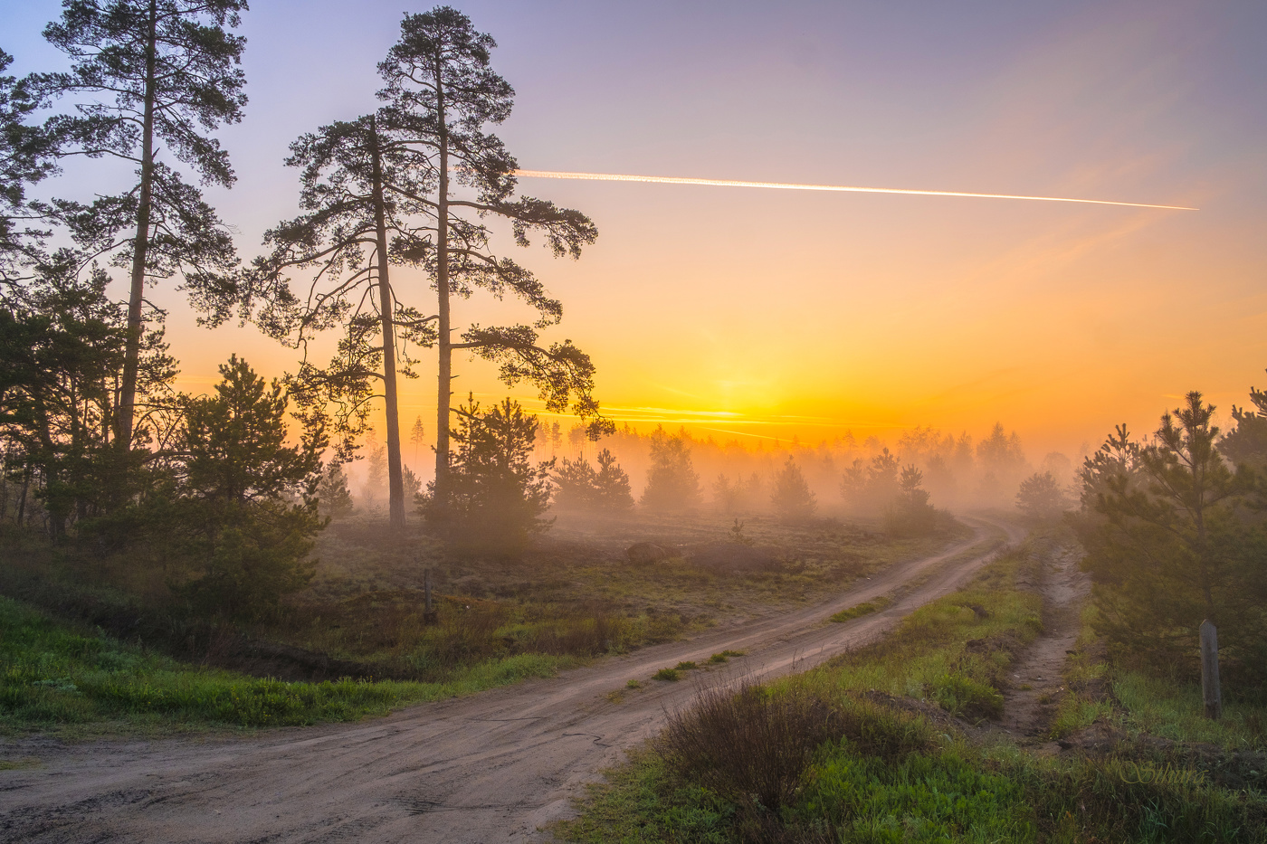 Дорога в лес.