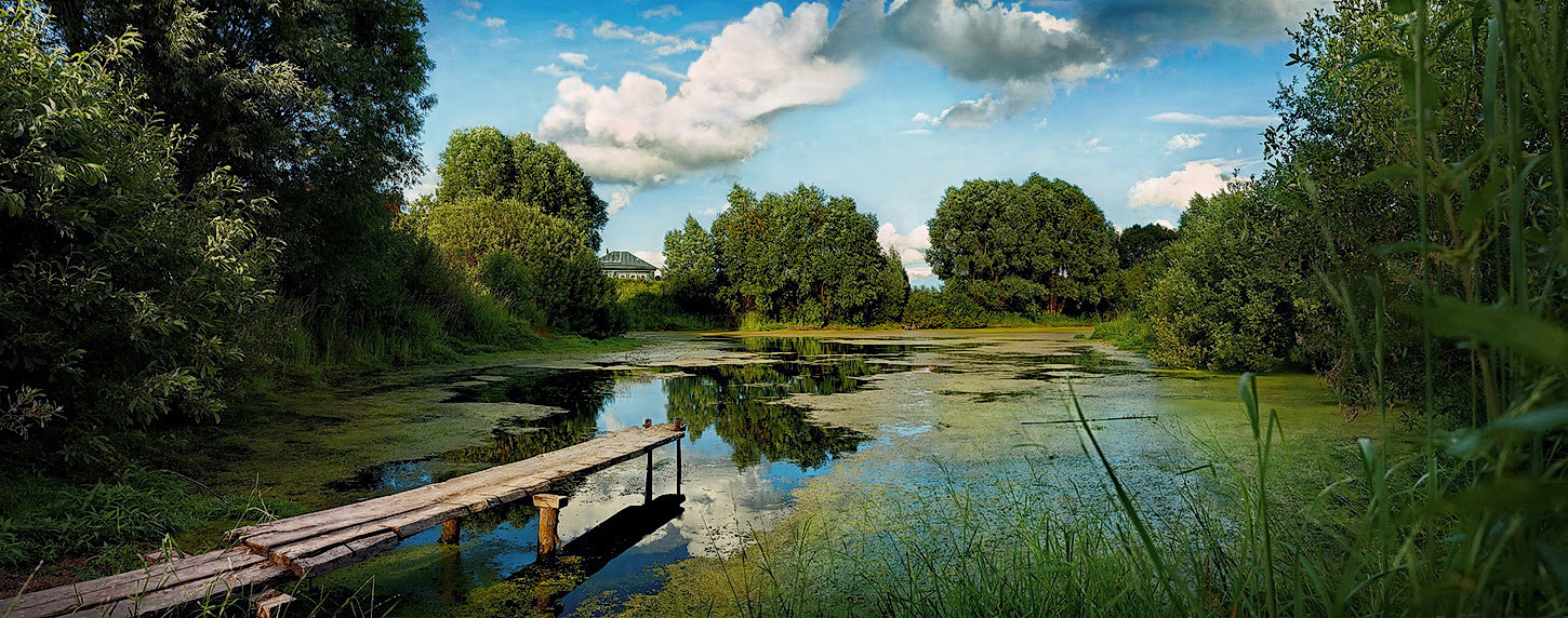 Летний пруд.