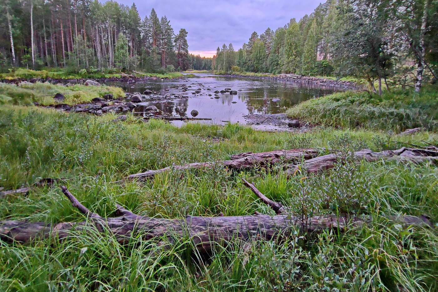 Утро на реке