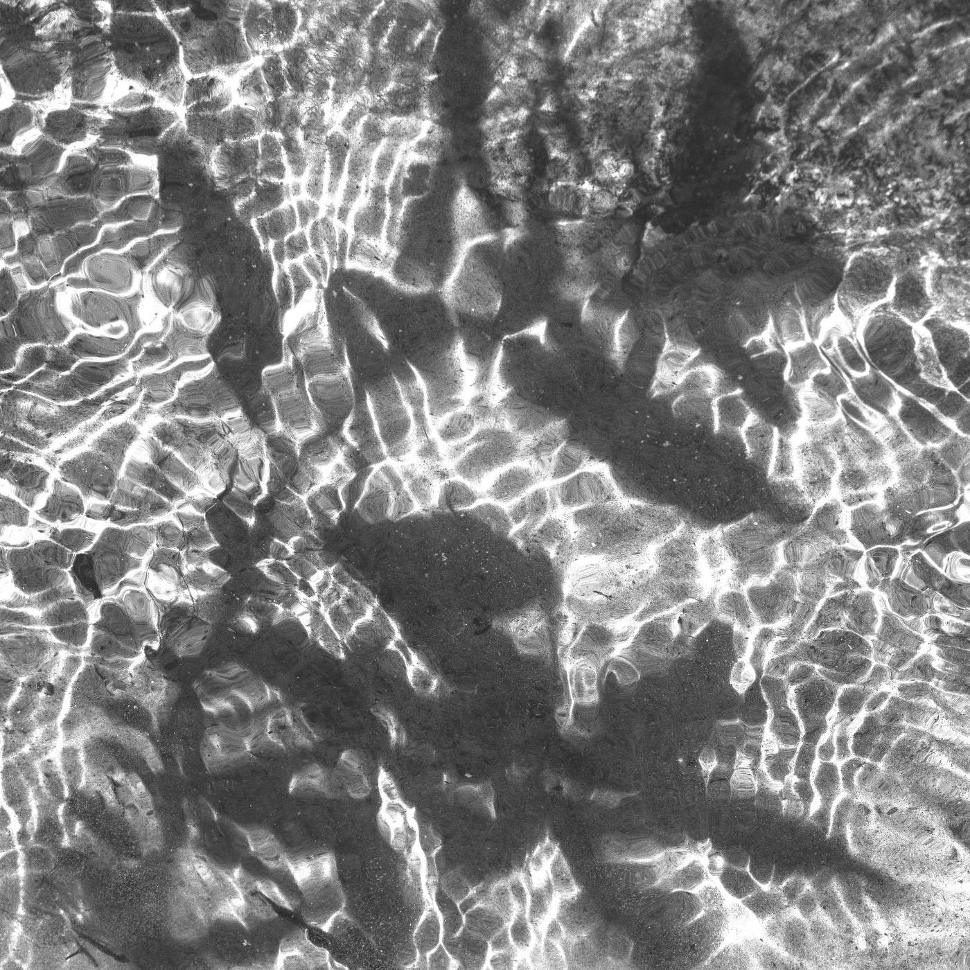 Жизнь вокруг