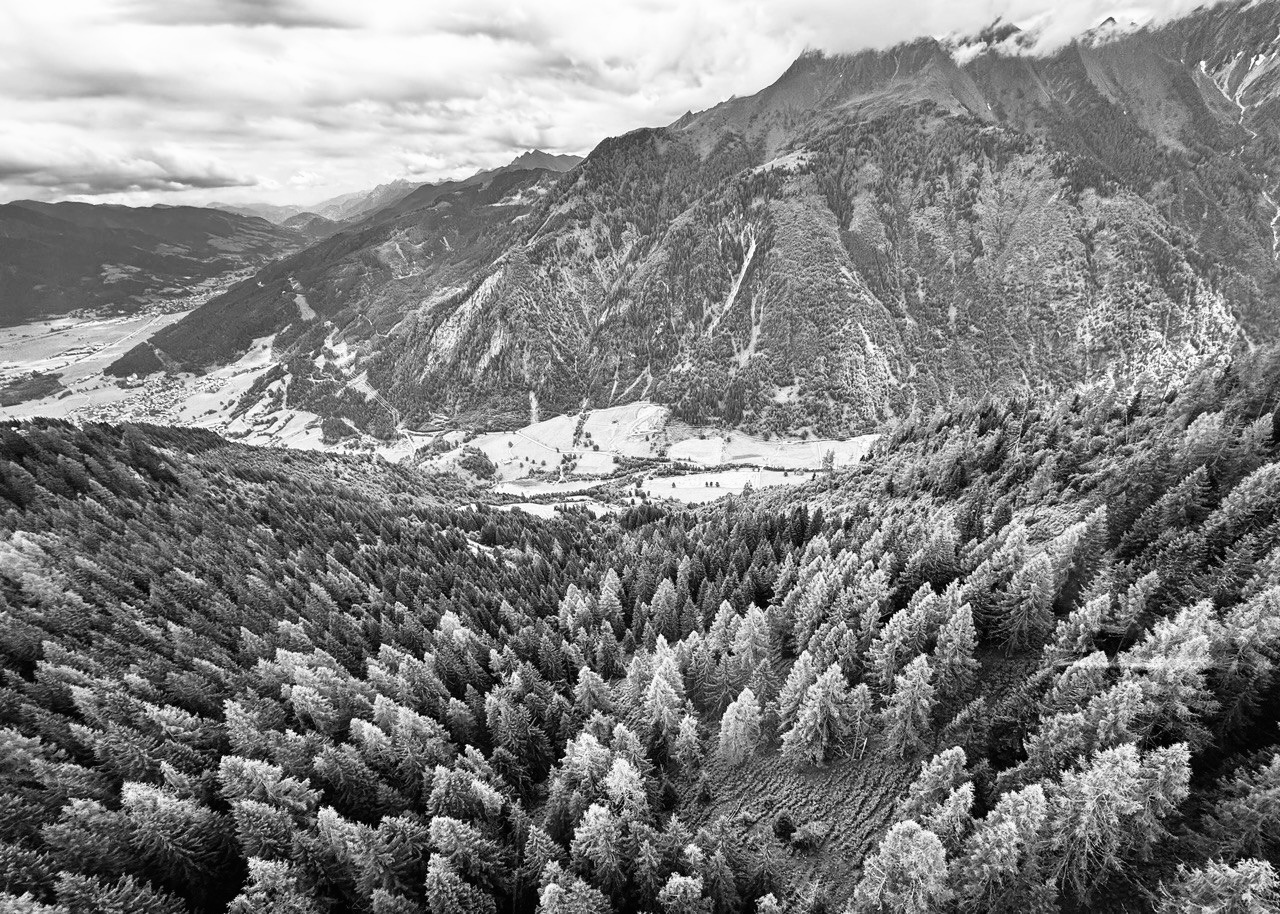 Два вектора