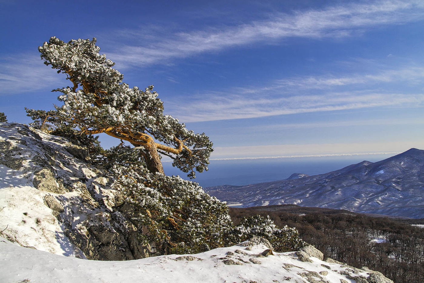 На южных склонах Чатыр-Дага