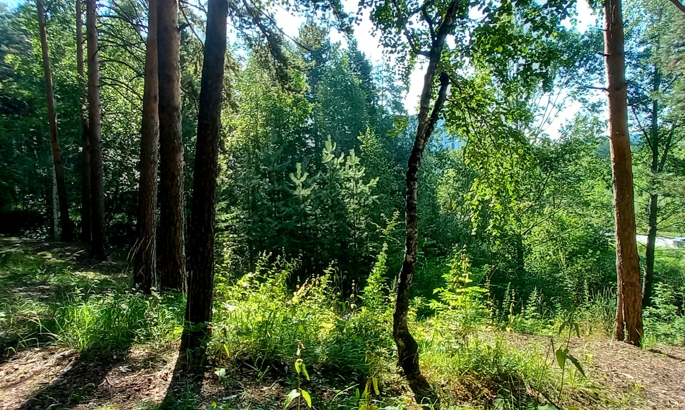 Зелёная горка