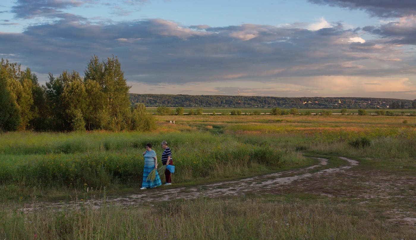 Июльские травы.