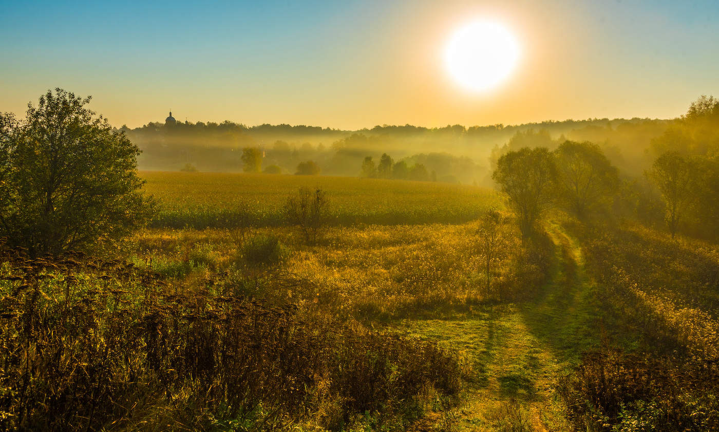 Желтый туман.