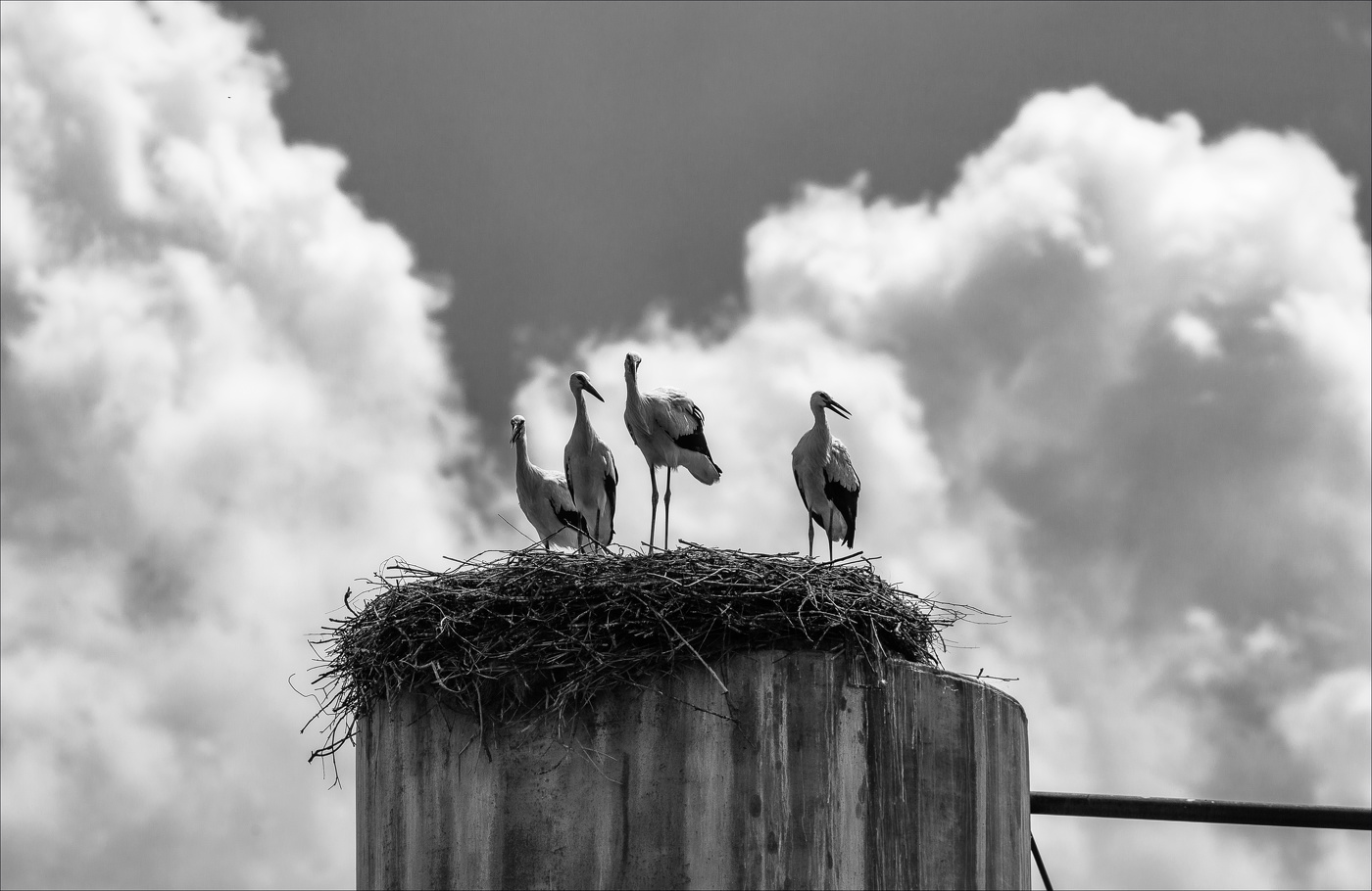 ПОД СОЛНЦЕМ ПАЛЯЩИМ ИЮЛЯ