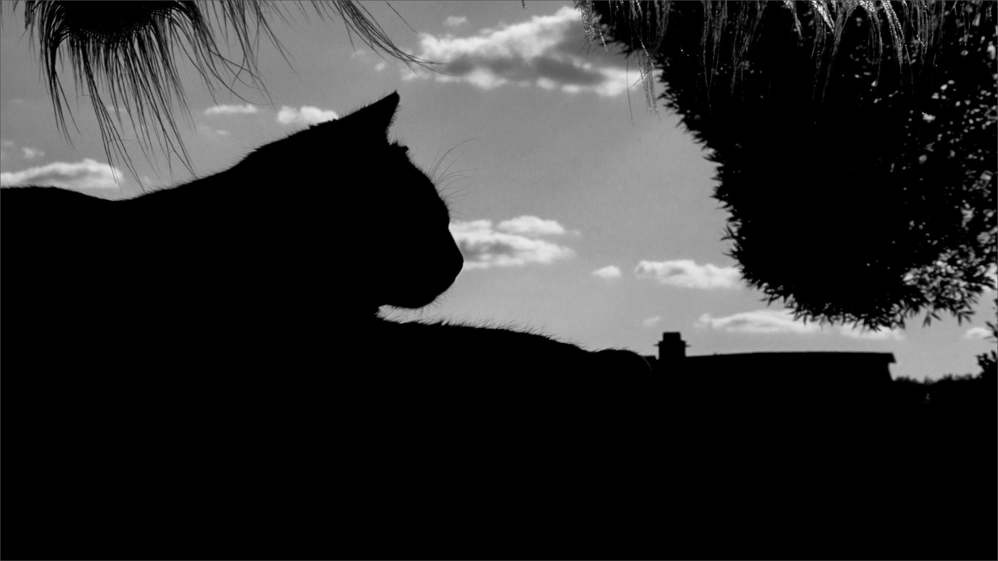 Жизнь вокруг